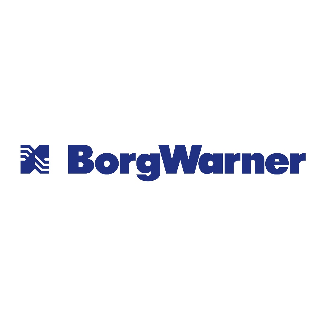 brand BORGWARNER